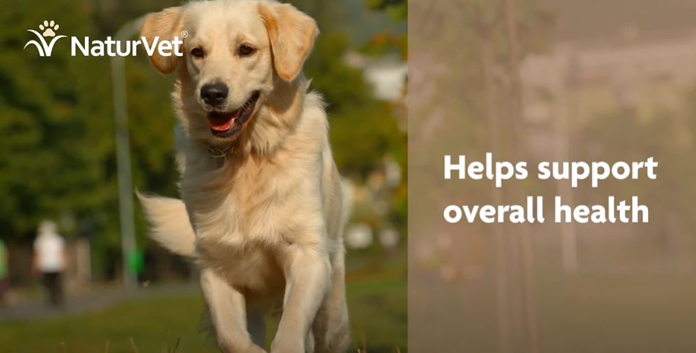 NaturVet Vitamins to Support Your Pet's Overall Health