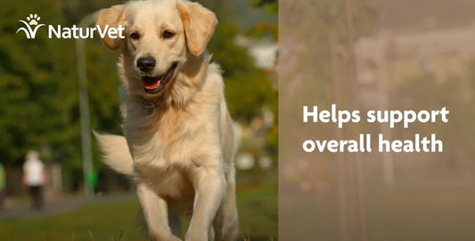 NaturVet Vitamins to Support Your Pet's Overall Health