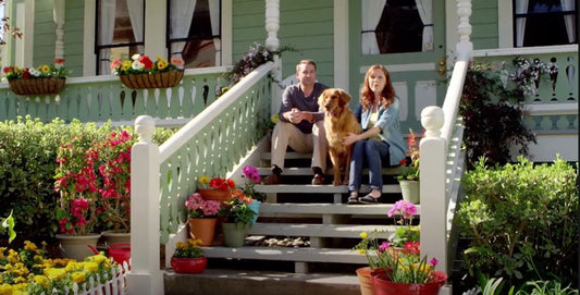 No More Yellow Grass From Your Dogs Urine Thanks to GrassSaver!