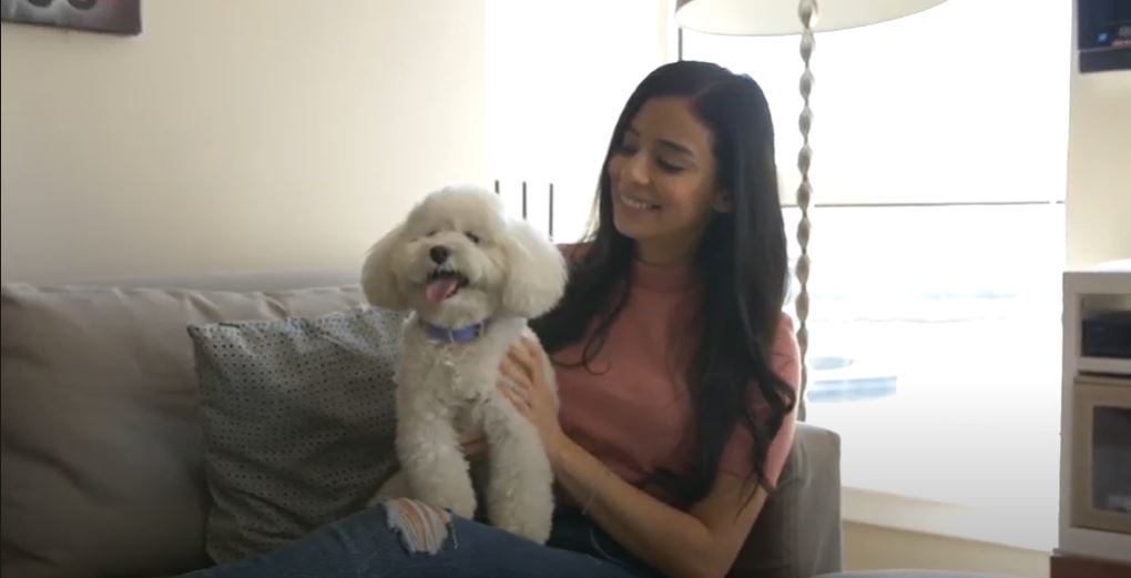 Quiet Moments Calming Aid Supplements for Dogs