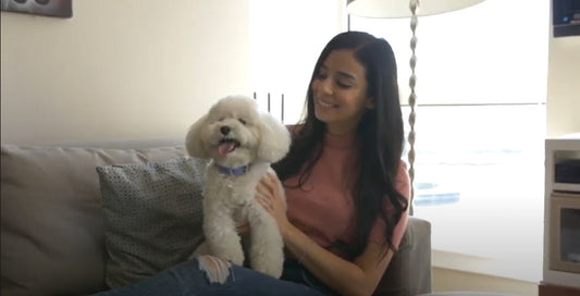 Quiet Moments Calming Aid Supplements for Dogs