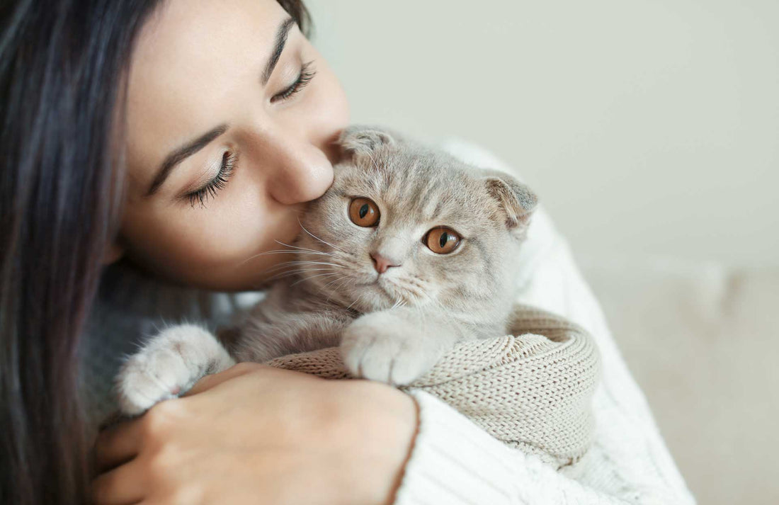 Age Old Question: Does My Cat Love Me?