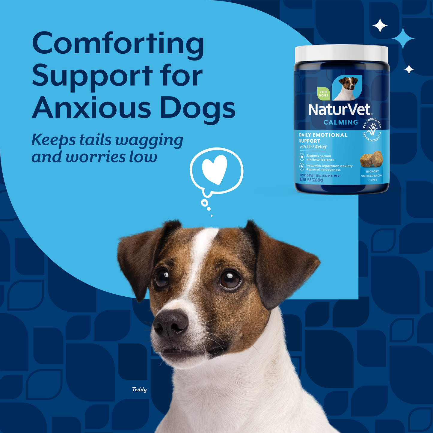 Daily Emotional Support Soft Chews