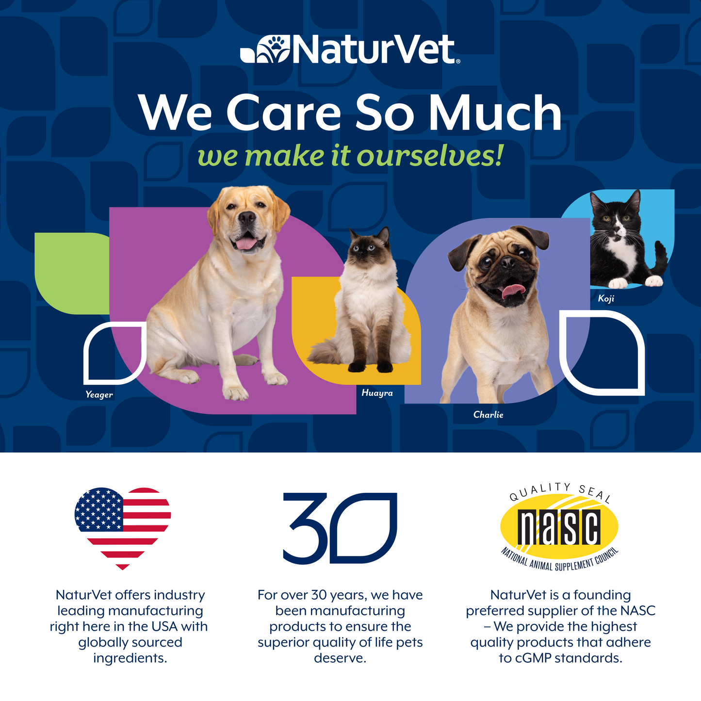 Daily Multi-Vitamin Powder for Dogs and Cats