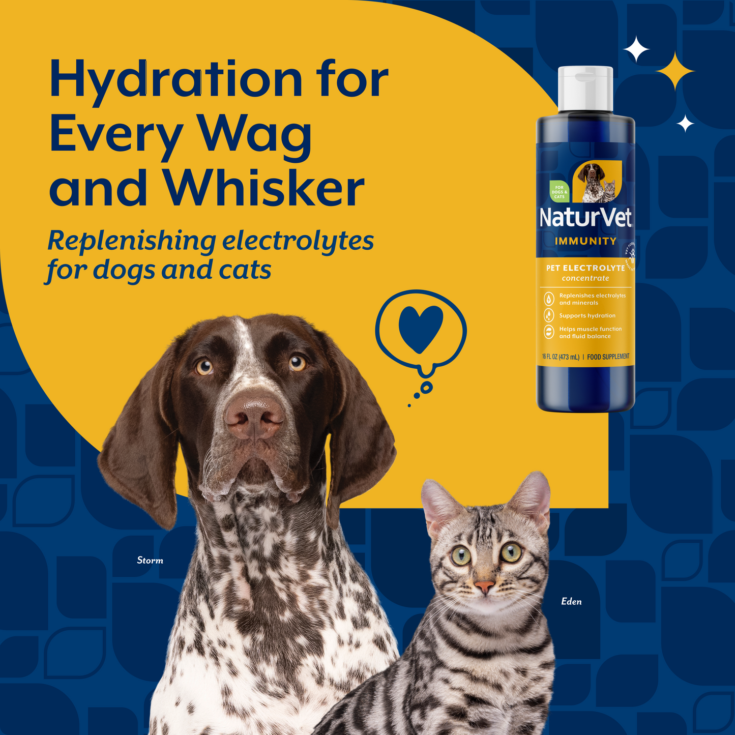 Pet Electrolyte Concentrate