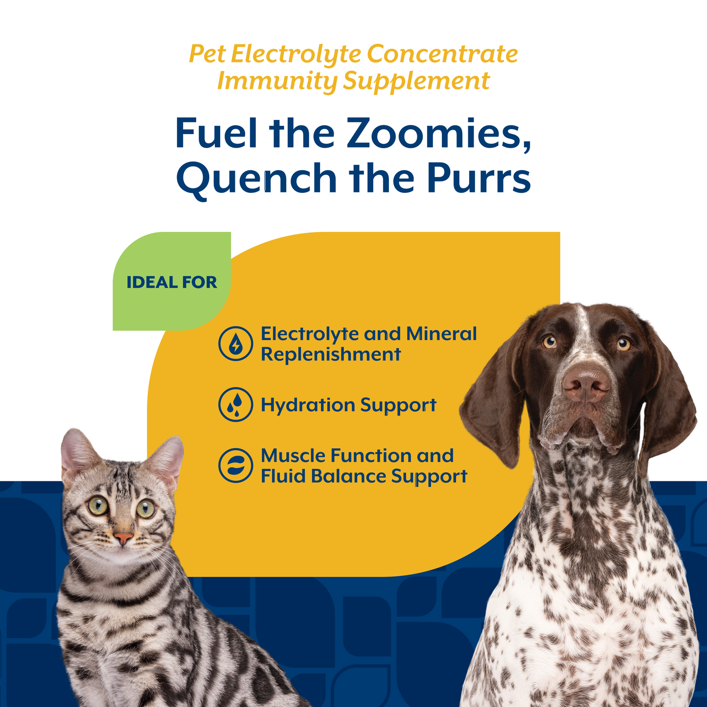 Pet Electrolyte Concentrate