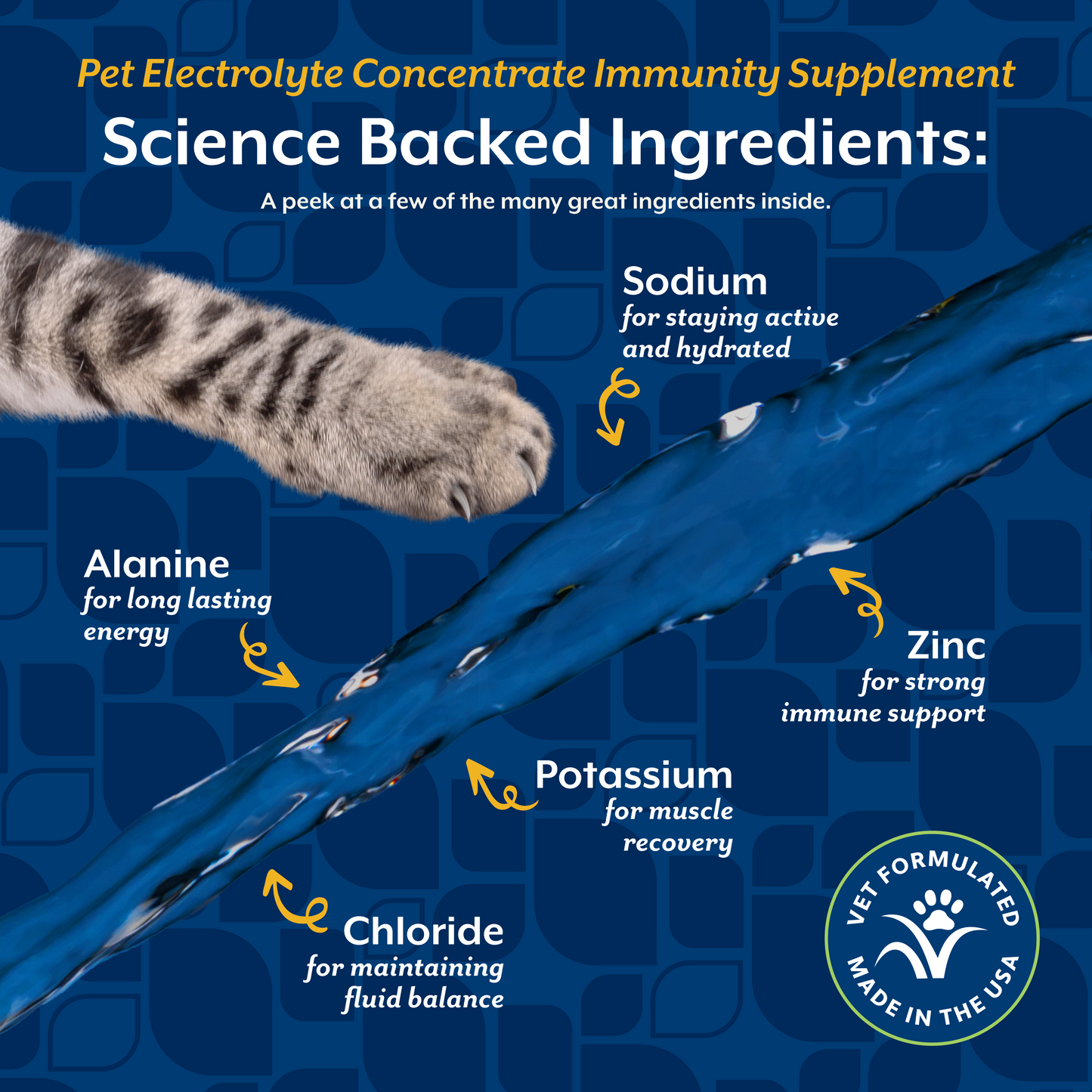 Pet Electrolyte Concentrate