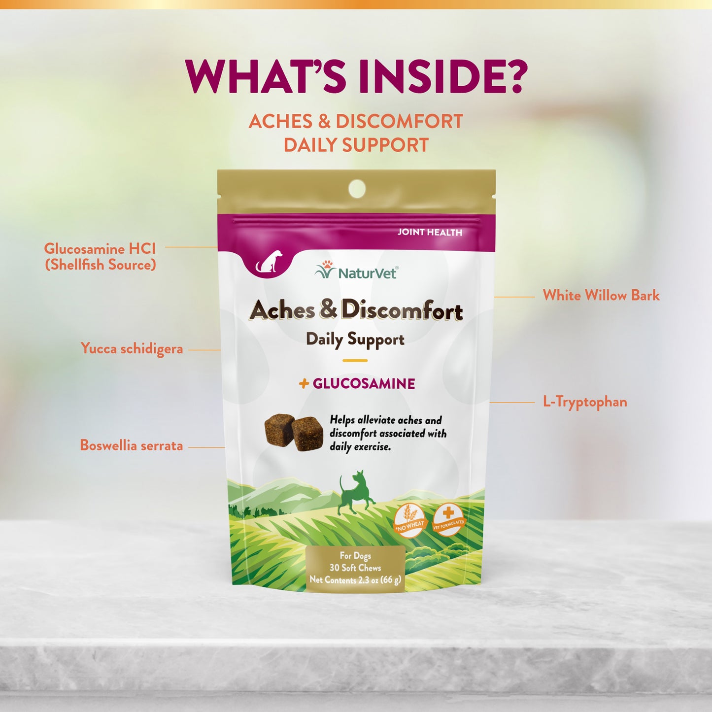 Aches & Discomfort Soft Chews