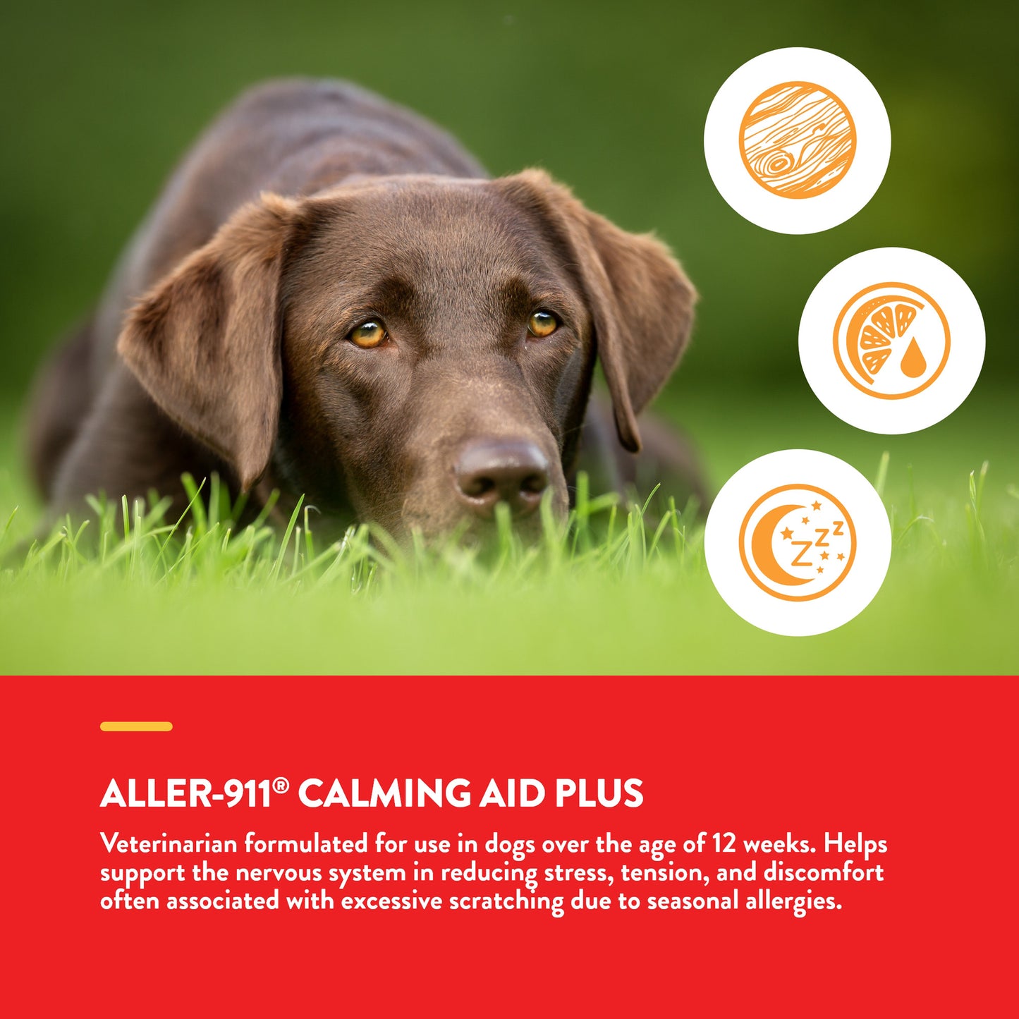 Aller-911® Calming Aid Plus Tabs