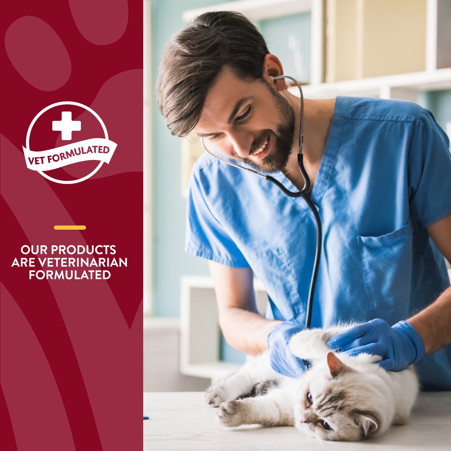 Cranberry Relief® Cat Soft Chews