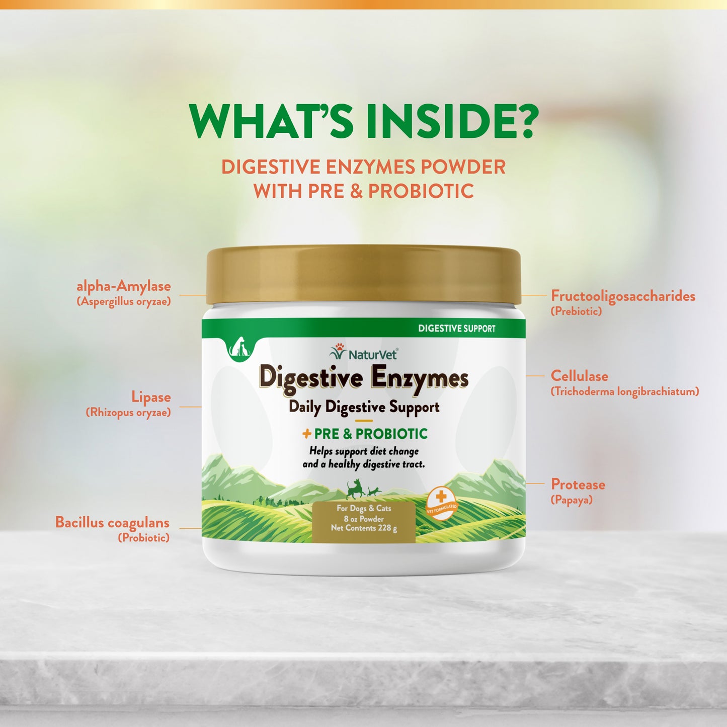 Digestive Enzymes Powder with Prebiotics & Probiotics