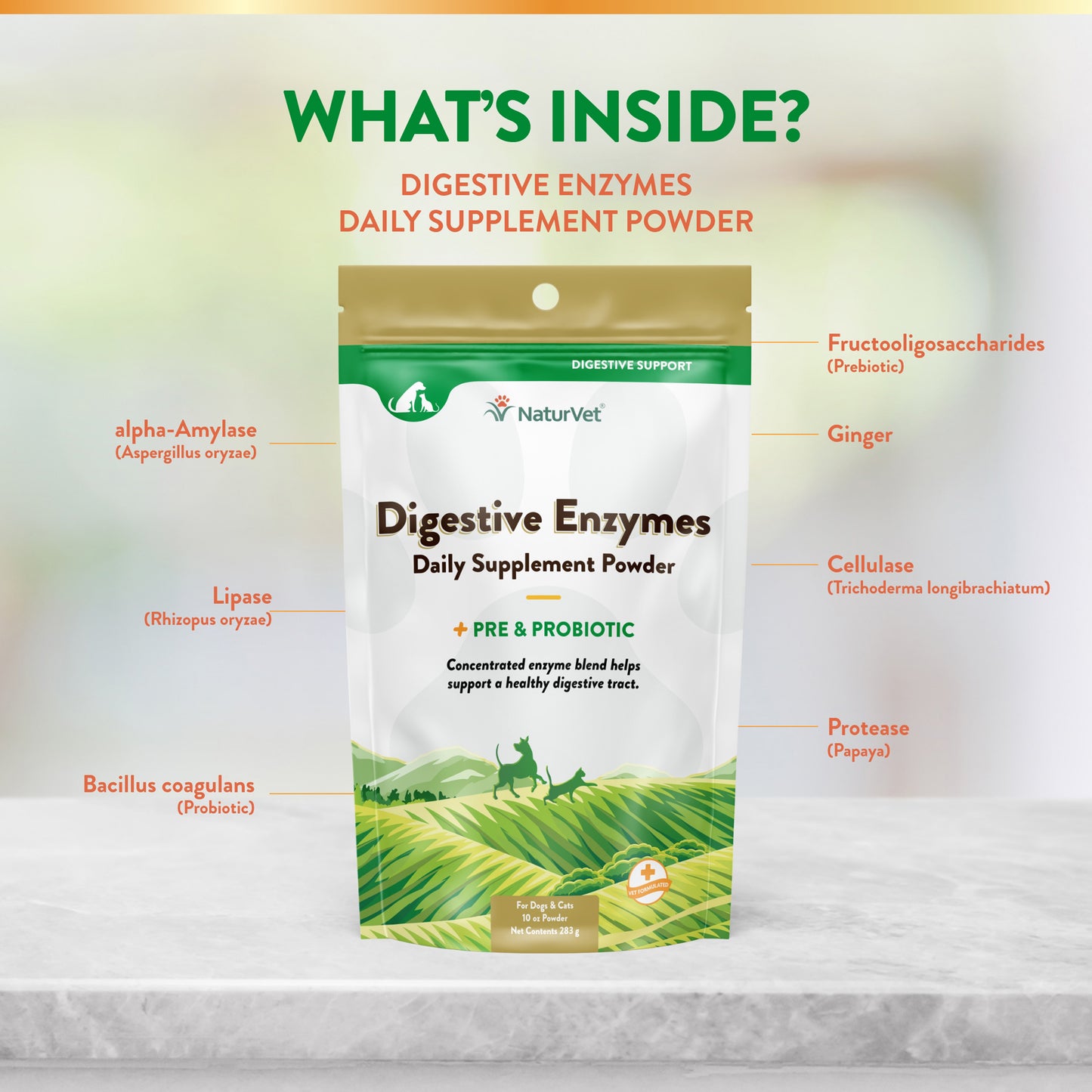 Digestive Enzymes Supplement Powder with Prebiotics & Probiotics