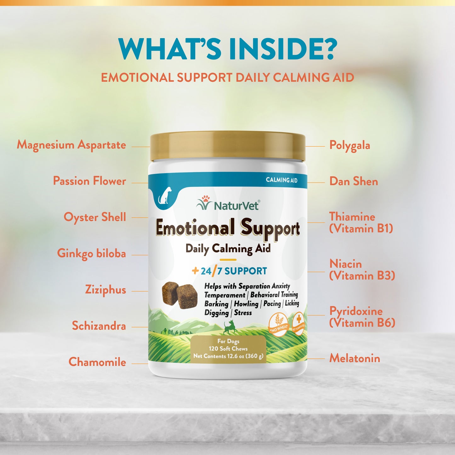 Emotional Support Dog Calming Aid (24/7 Support)