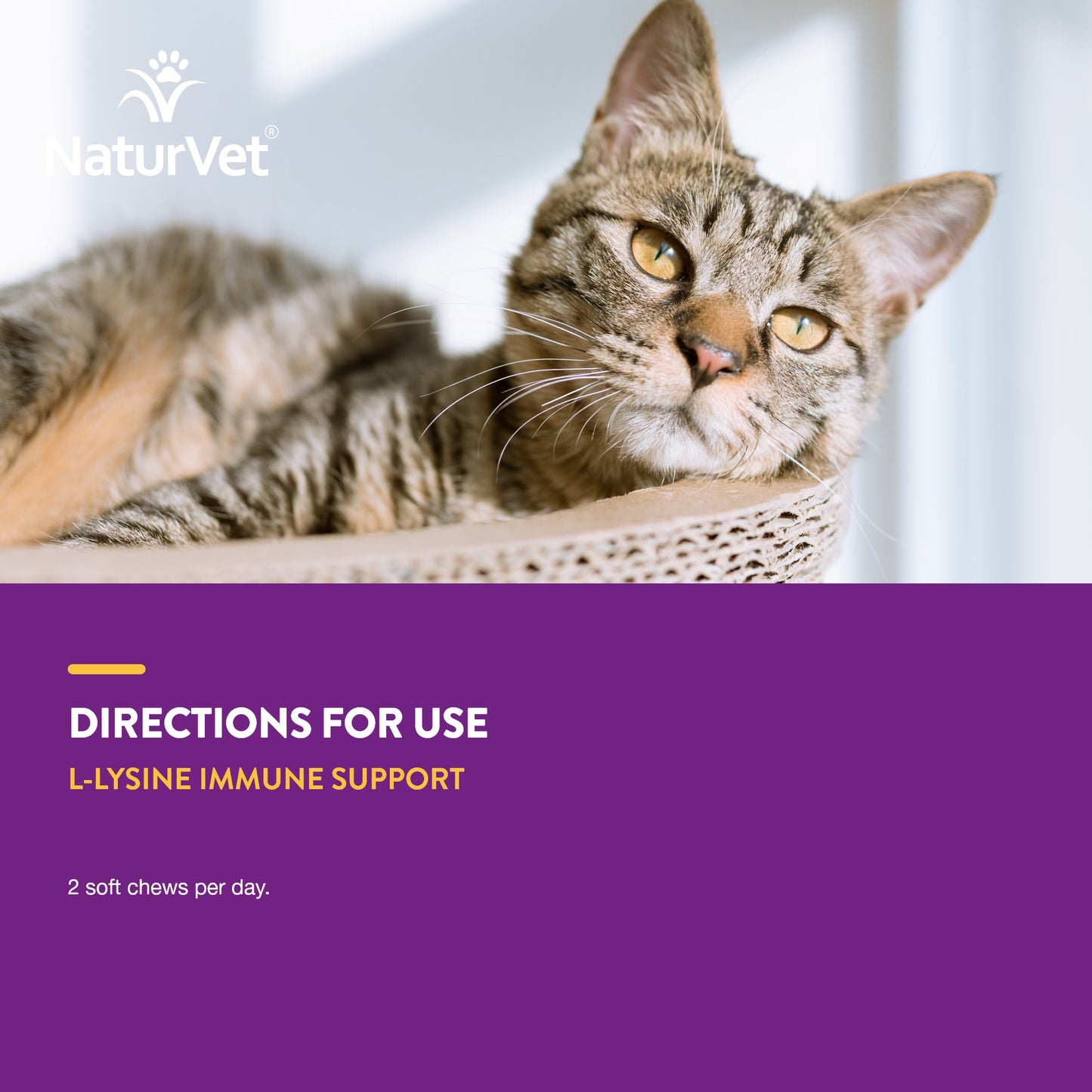 L-Lysine - Immune Support For Cats