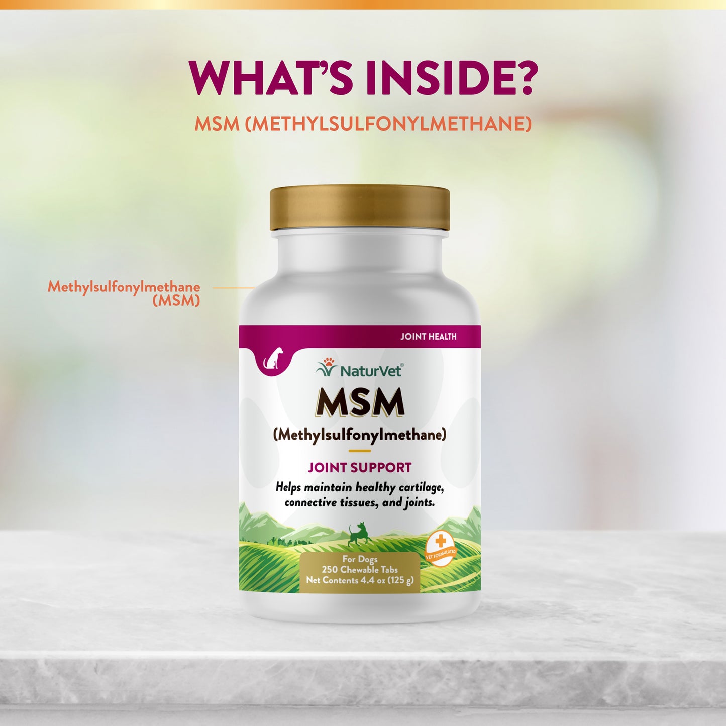 MSM Chewable Tablets