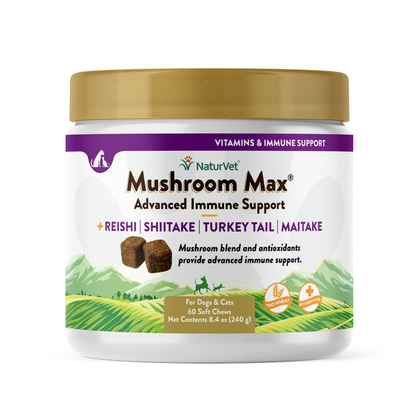 Mushroom Max® Soft Chews