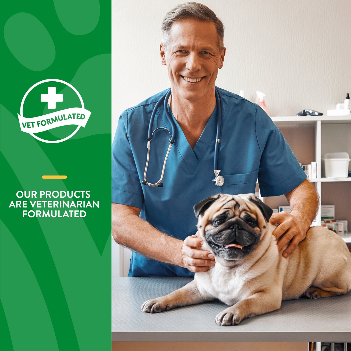 No Scoot® Supplement Powder