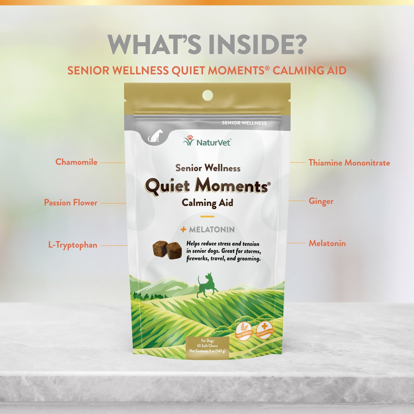 Quiet Moments® Senior Wellness Calming Aid Soft Chews