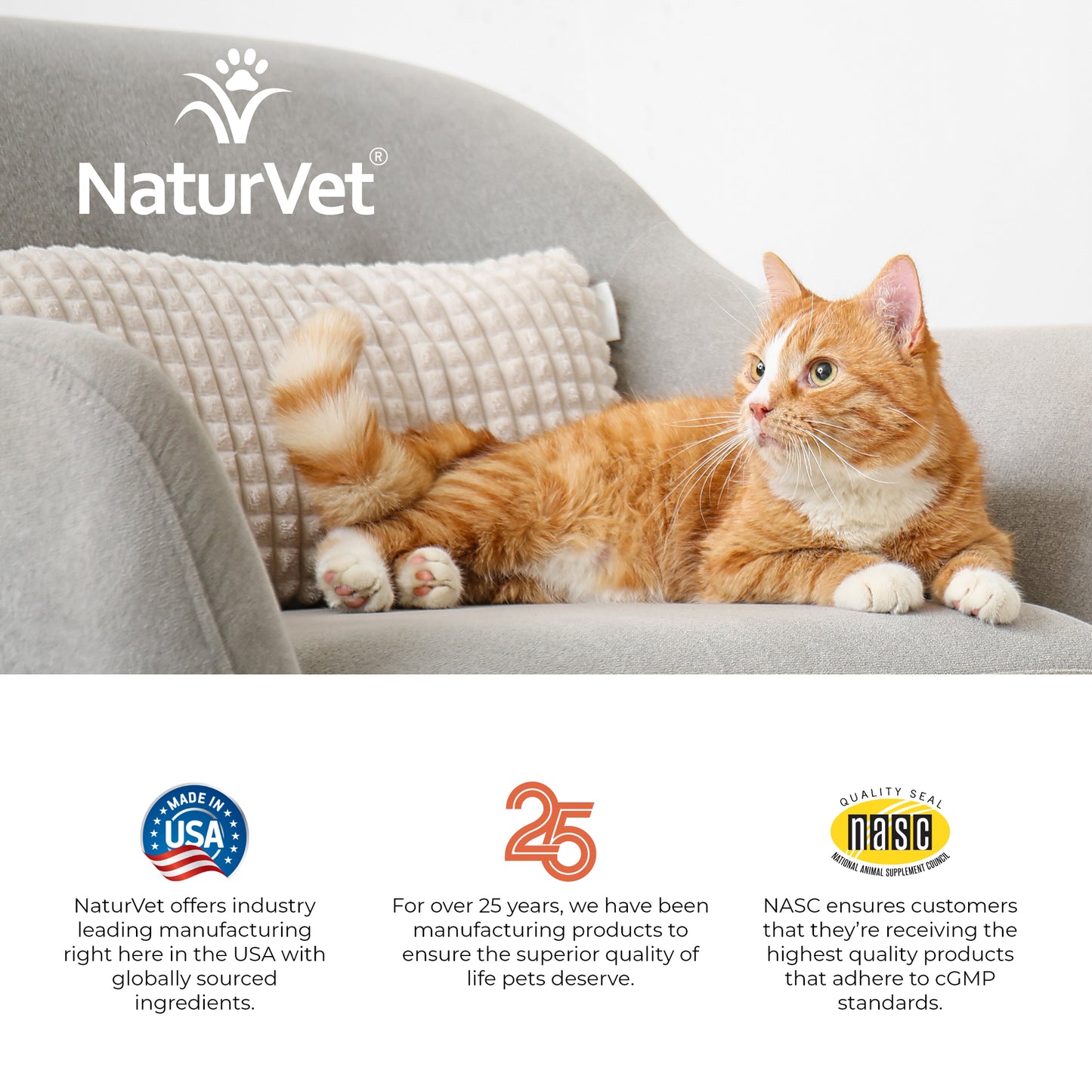 VitaPet™ Adult Daily Vitamins Cat Soft Chews