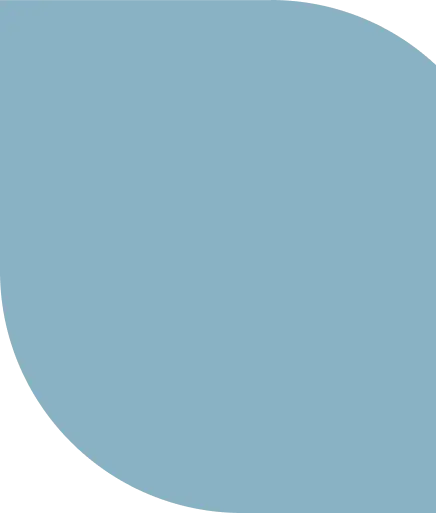 shape