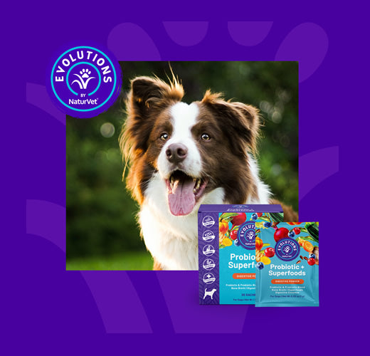 NaturVet Evolutions - Probiotic + Superfoods Sachet