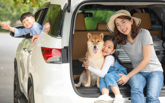 Mom in the trunk of car with two kids and dog