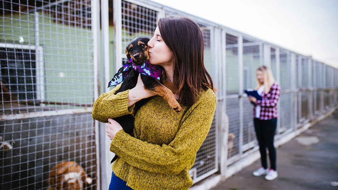 A woman kisses a foster puppy in a pet rescue organization