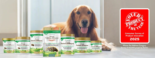 NaturVet Honored as a 2025 Product of the Year USA Award Winner