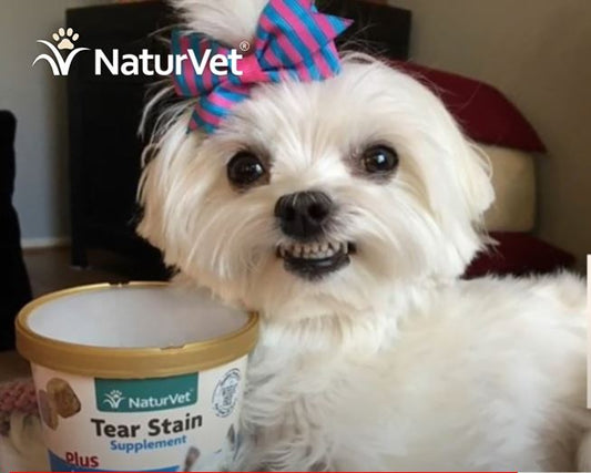 NaturVet Grooming Supplies to Keep Your Pet Fresh and Clean