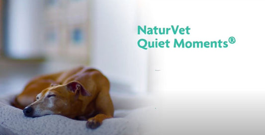 NaturVet Quiet Moments Calming Aid
