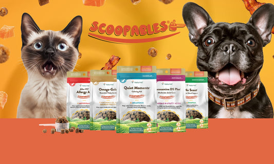 Introducing Scoopables®: Cat & Dog Dietary Supplements for Picky Pets