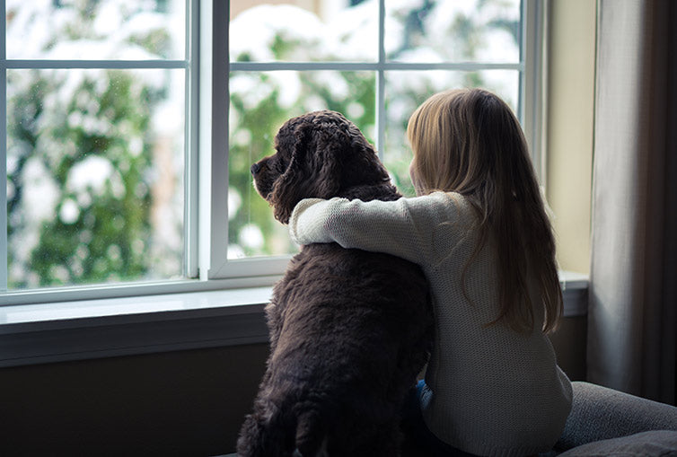 little girl hugs her dog as they look out the window