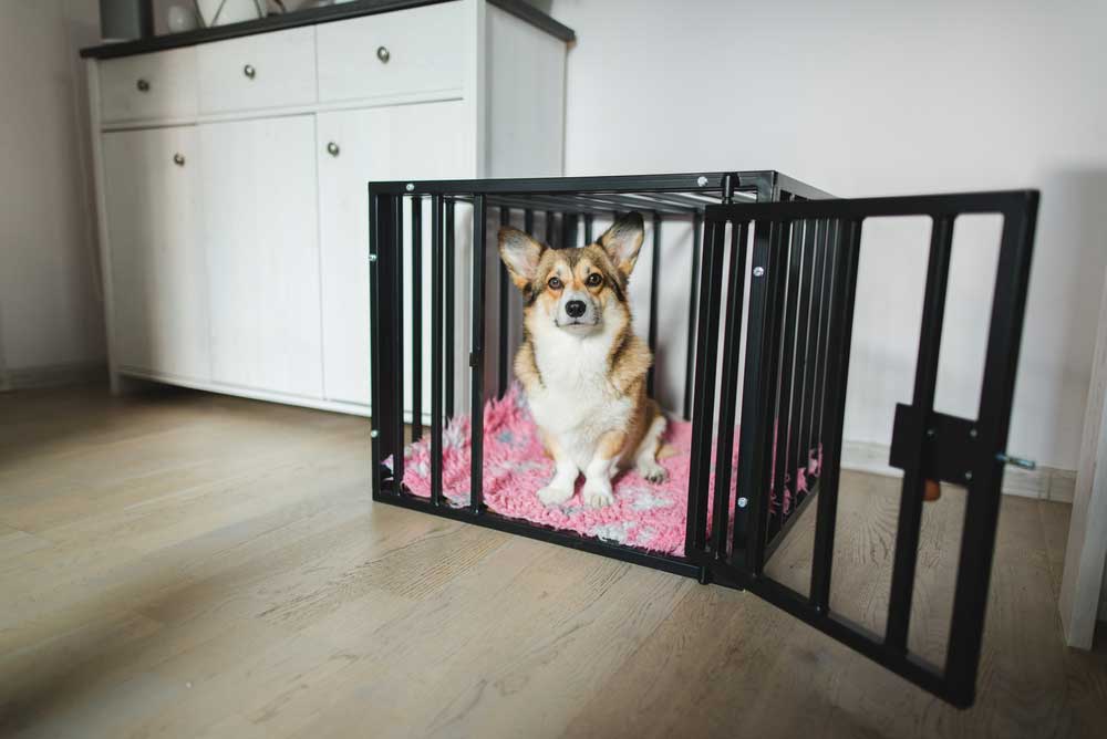 Tips for Crate Training Your Puppy