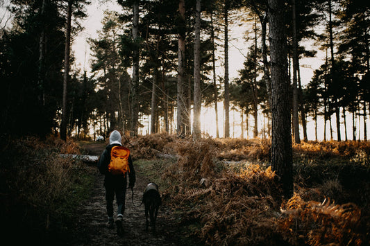 man hiking with his dog in a forest
