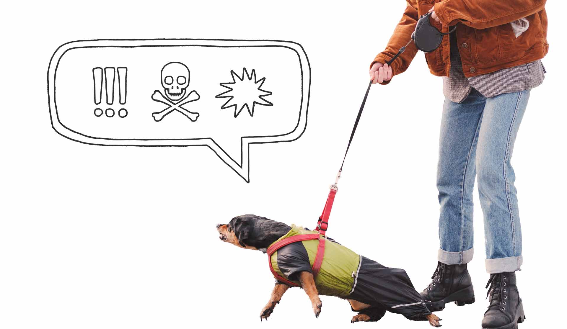 Help for Reactive Dogs - The Other End of the Leash