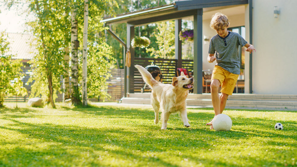 Exploring the Benefits of Outdoor Playtime - NaturVet®