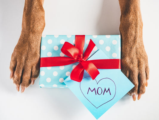 27 Gifts for Dog Lovers: Mother’s Day Edition