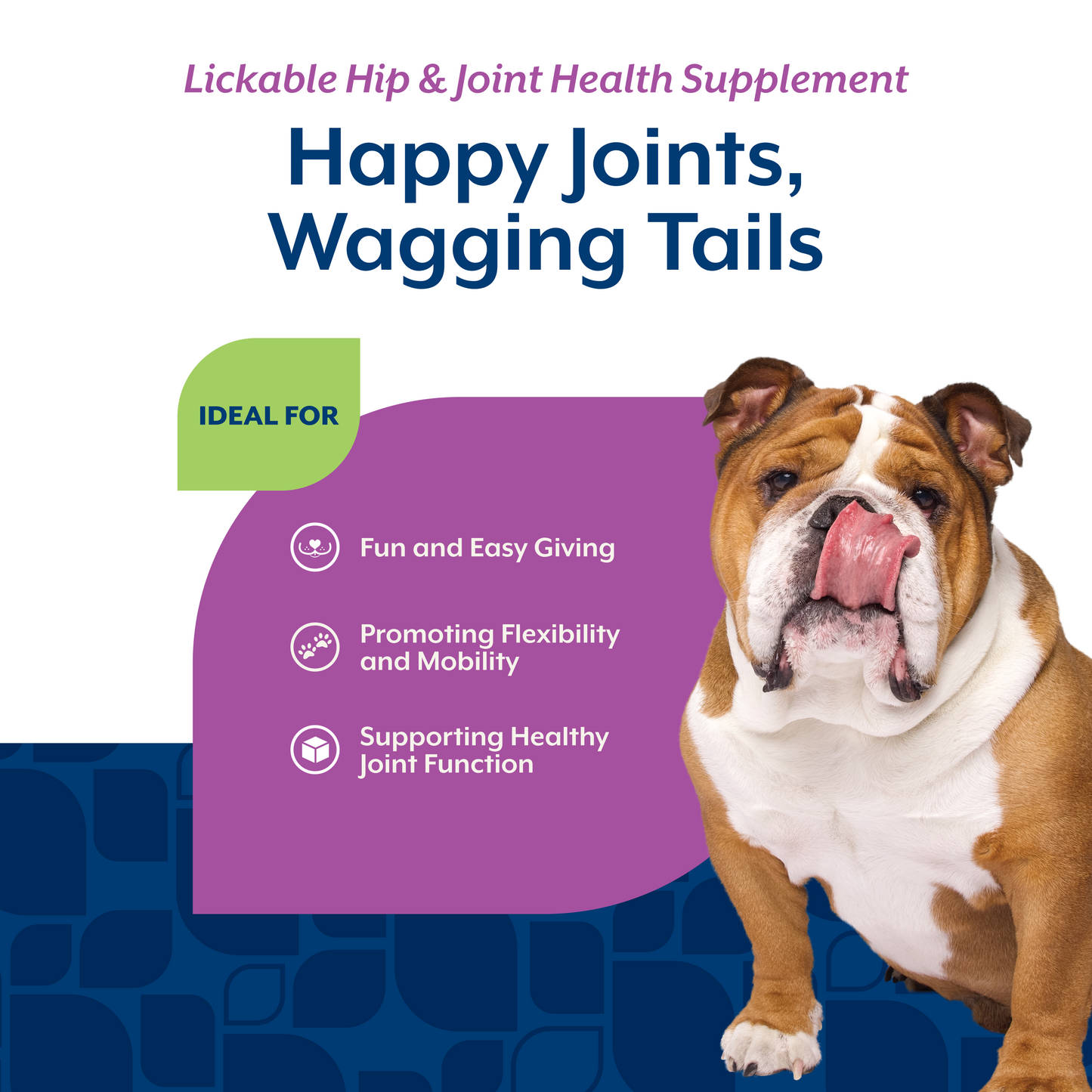 Lickable Hip & Joint Health Supplement