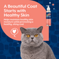 Salmon Oil for Cats
