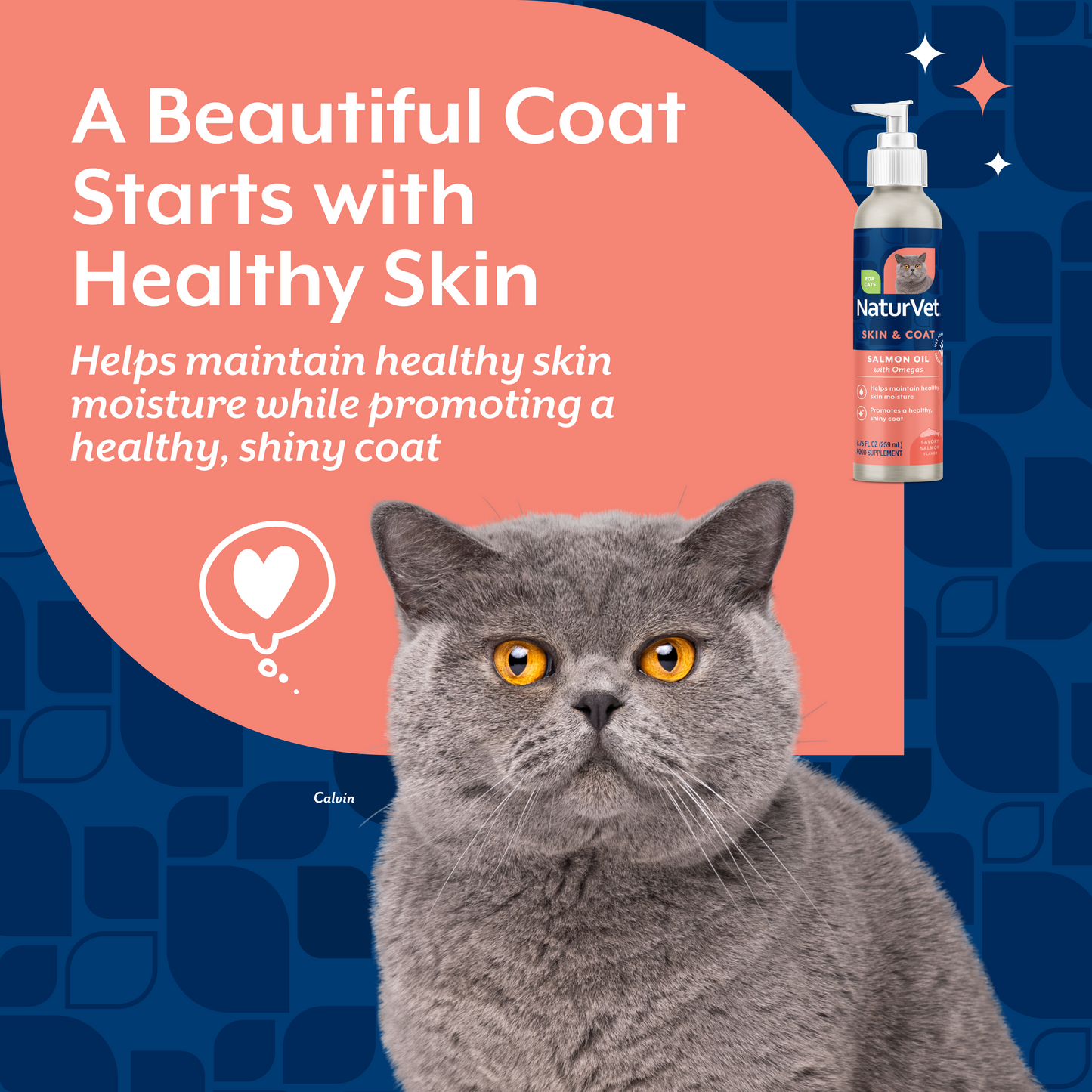 Salmon Oil for Cats