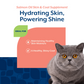 Salmon Oil for Cats