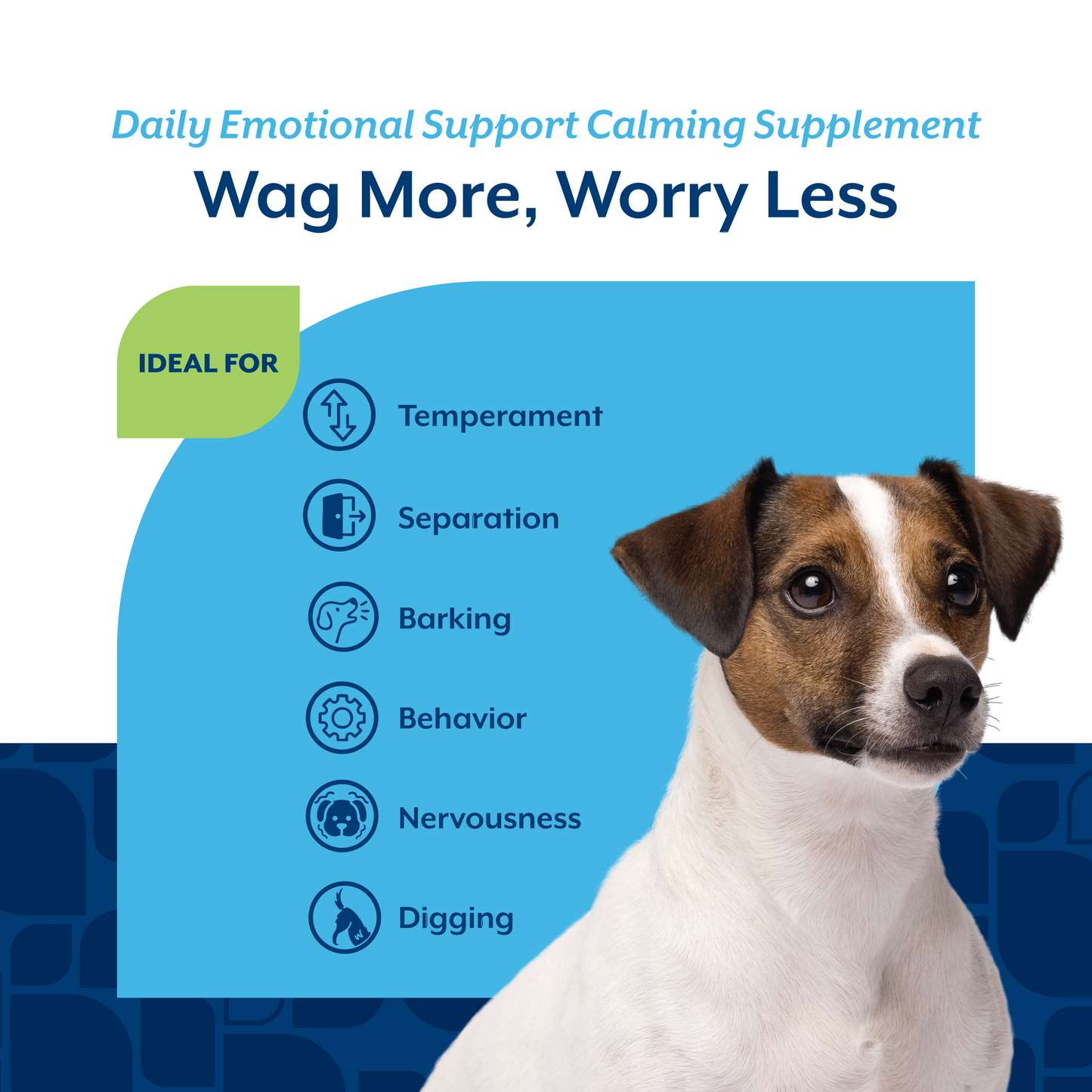 Daily Emotional Support Soft Chews