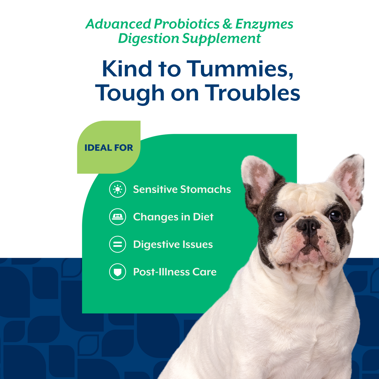 Advanced Probiotics & Enzymes Scoopable Tiny Bites