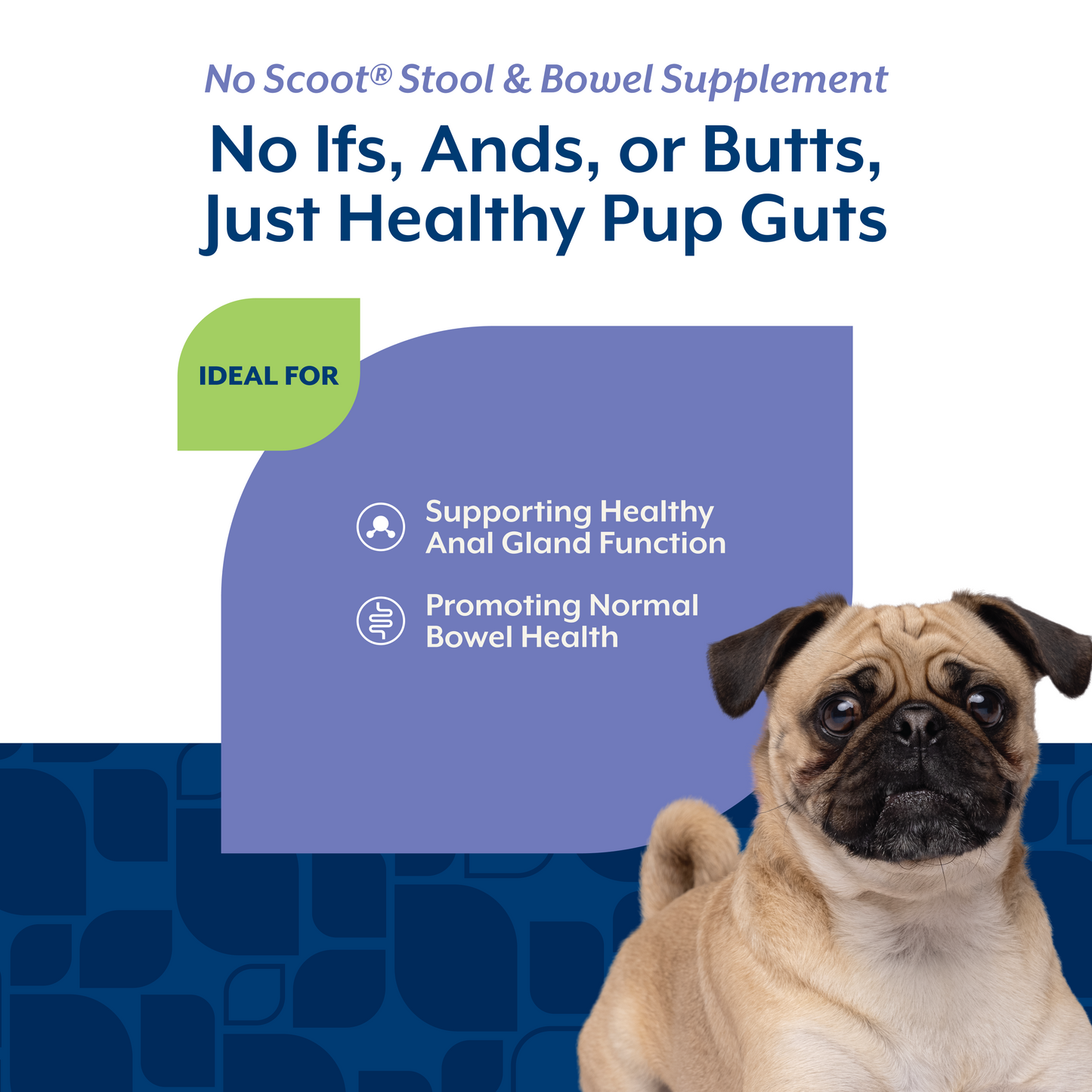 No Scoot® Scoopable Tiny Bites