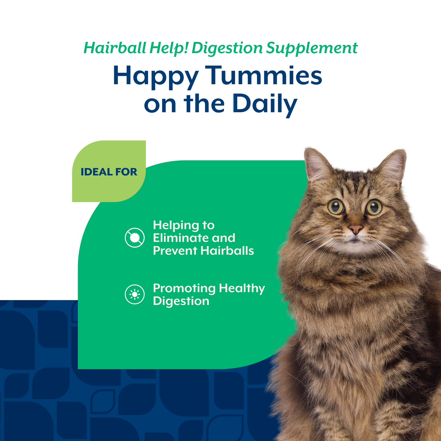 Hairball Help! Cat Scoopable Tiny Bites
