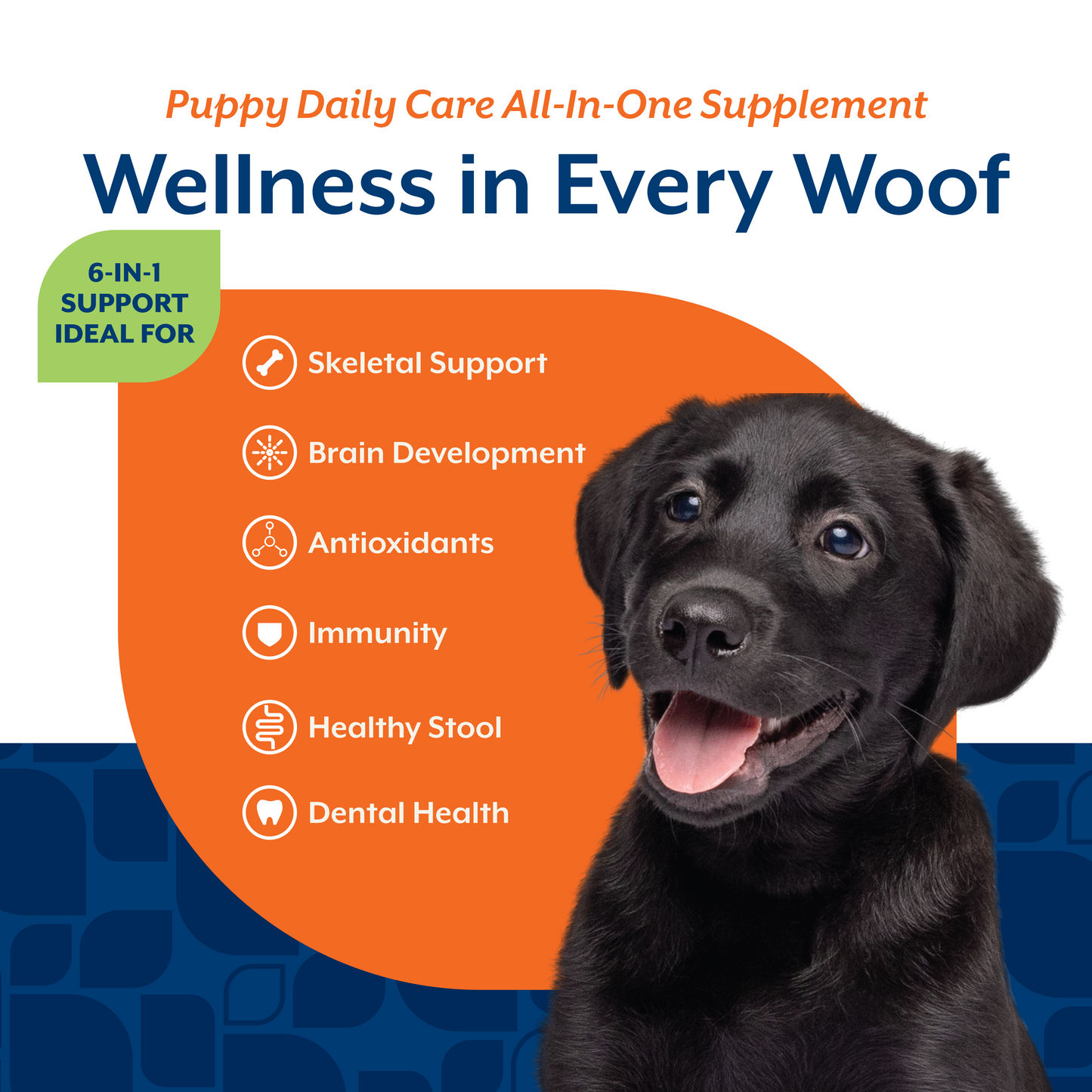 Puppy Daily Care Soft Chews
