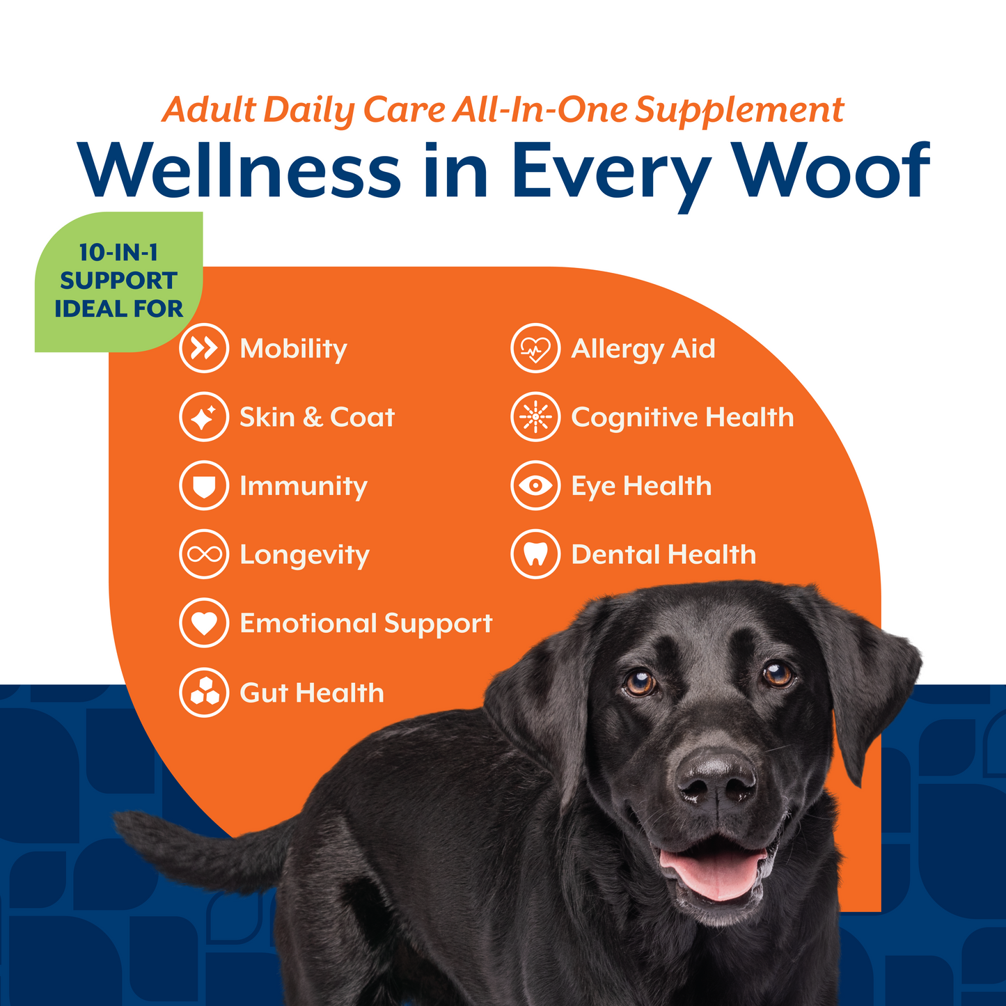 Adult Daily Care Soft Chews