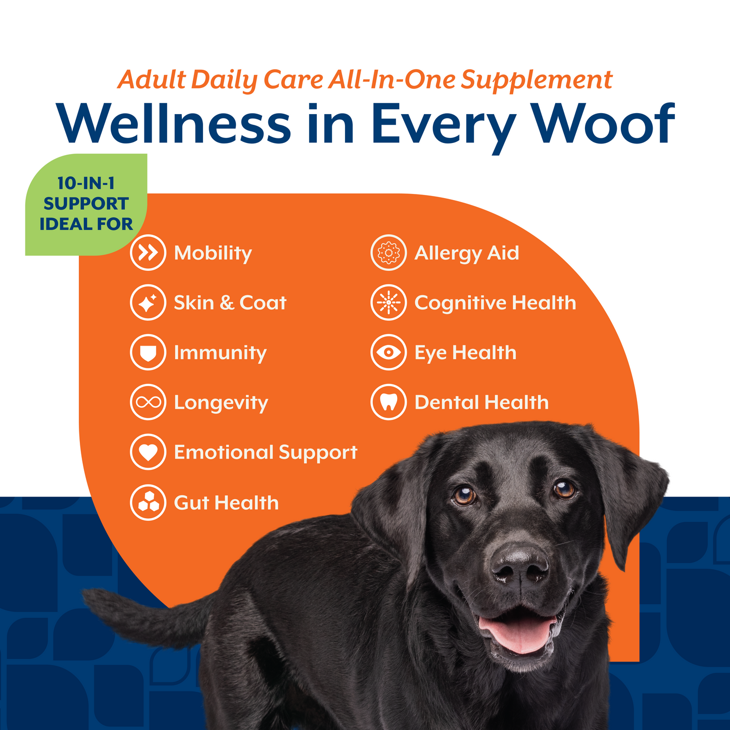 Adult Daily Care Soft Chews