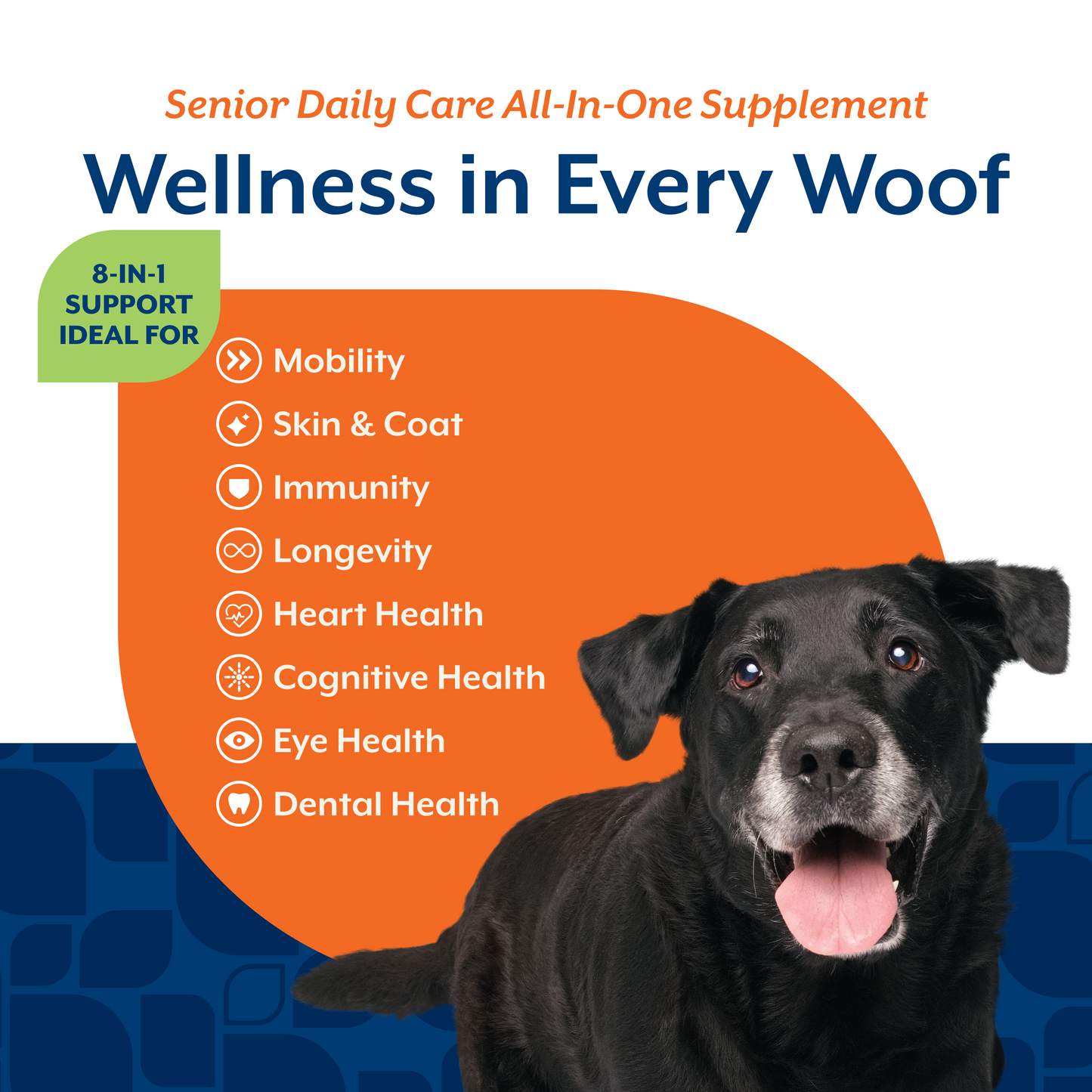 Senior Daily Care Soft Chews