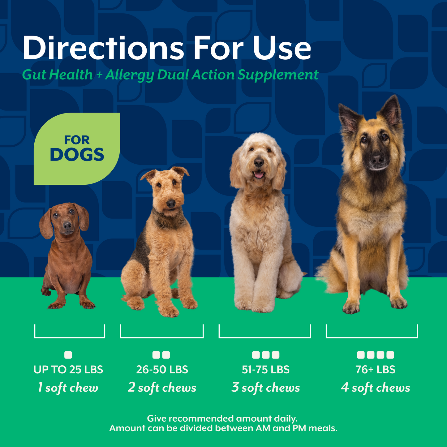 Gut Health + Allergy Dual Action Soft Chews